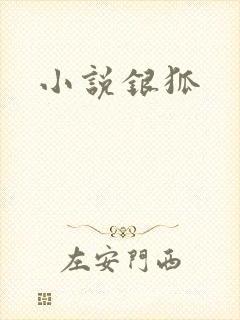 小说银狐