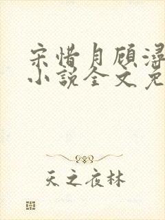 宋惜月顾浔渊的小说全文免费阅读