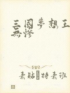 三国梦想王元姬无惨