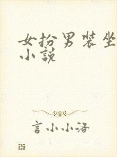 女扮男装坐江山小说