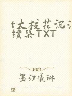 t大校花沉浮录续集TXT