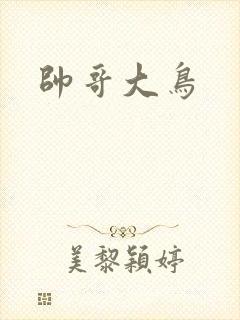 帅哥大鸟