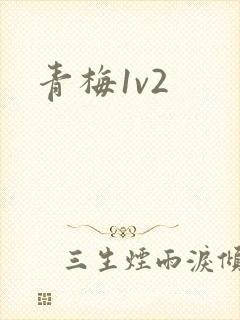 青梅1v2