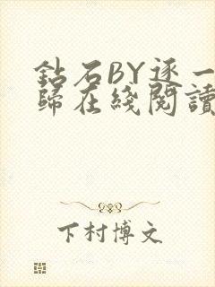 钻石BY逐一而归在线阅读