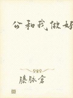 公和我做好爽