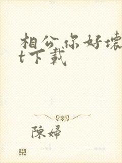 相公你好坏txt下载