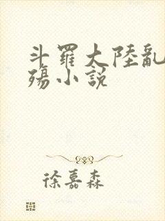 斗罗大陆乱世浮殇小说