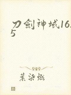 刀剑神域16.5