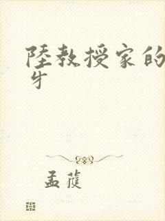 陆教授家的小月牙