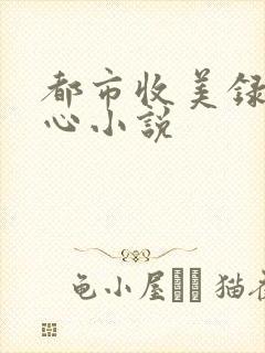 都市收美录宁素心小说