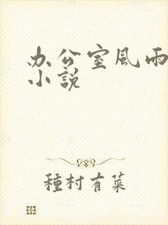 办公室风雨完整小说