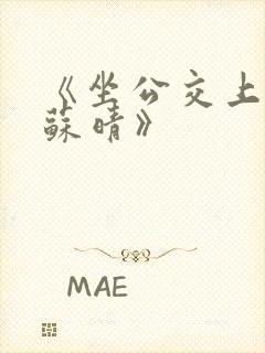 《坐公交上班的苏晴》