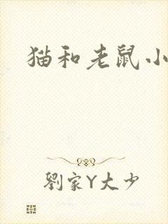 猫和老鼠小说
