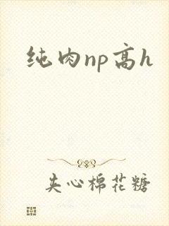 纯肉np高h