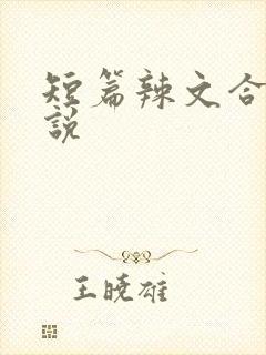 短篇辣文合集小说