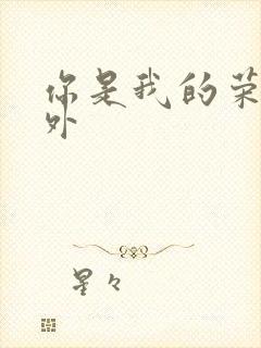 你是我的荣耀番外