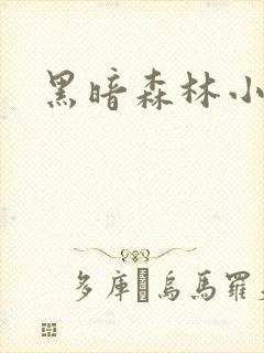 黑暗森林小说