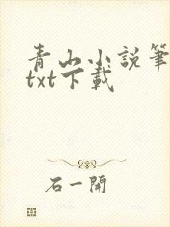 青山小说笔趣阁txt下载