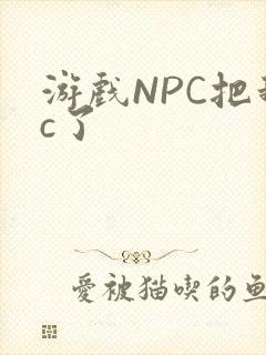 游戏NPC把我c了