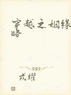 穿越之姻缘劫攻略