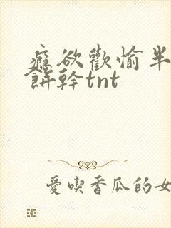 瘾欲欢愉半块小饼干tnt