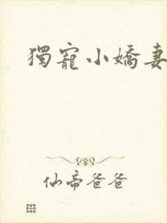 独宠小娇妻