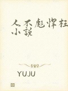 人不彪悍枉少年小说