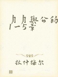 月月与公的激情1一5章