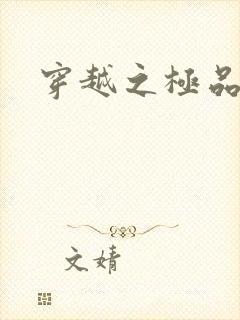 穿越之极品皇帝