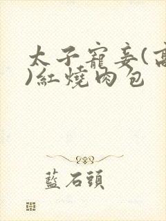 太子宠妾(高肉)红烧肉包