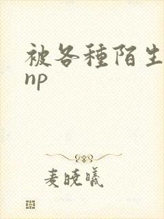 被各种陌生人 np