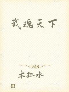 武魂天下