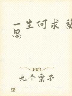 一生何求 兰思思