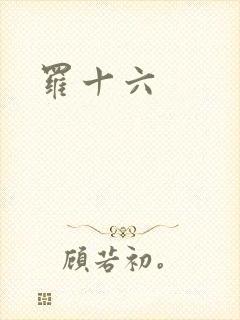 罗十六