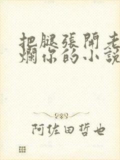 把腿张开老子臊烂你的小说