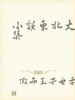 小说东北大炕全集