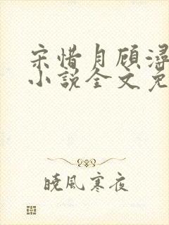 宋惜月顾浔渊的小说全文免费阅读