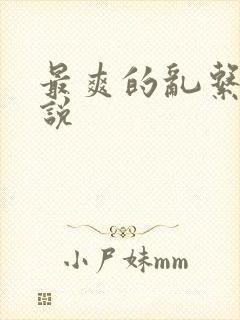 最爽的乱系列小说