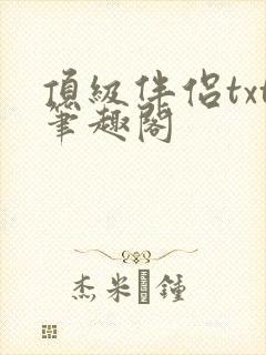 顶级伴侣txt笔趣阁