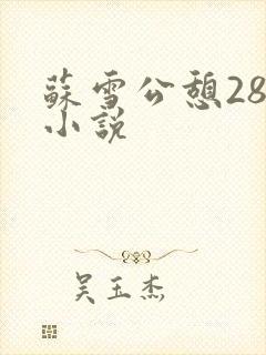 苏雪公憩28篇小说