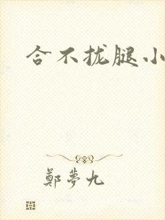 合不拢腿小说