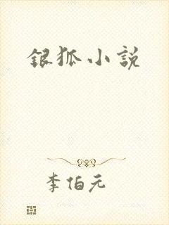 银狐小说