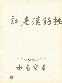 许老汉的桃花运