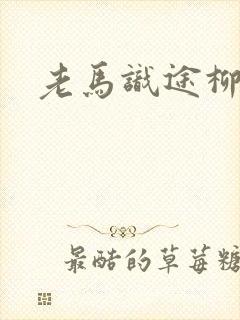 老马识途柳娇娇