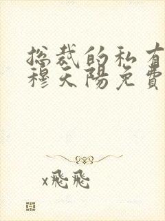 总裁的私有宝贝穆天阳免费