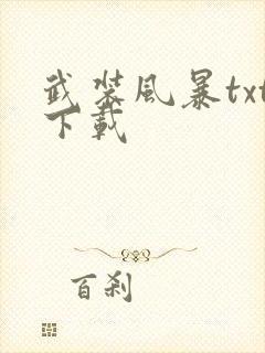 武装风暴txt下载