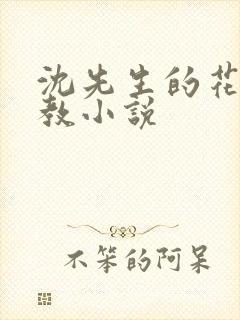 沈先生的花式调教小说