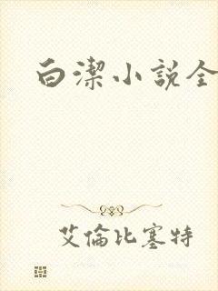 白洁小说全文