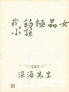 我的极品女老师小说