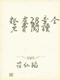 抓灰28章全部免费阅读